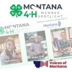Voices of Montana