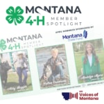 Voices of Montana