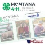 Voices of Montana