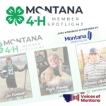 Voices of Montana
