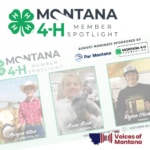 Voices of Montana