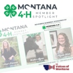 Voices of Montana