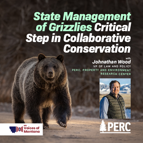 State Management of Grizzlies Critical Step in Collaborative Conservation episode artwork
