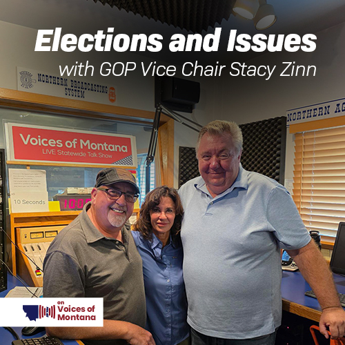 Elections and Issues, with GOP Vice Chair Stacy Zinn episode artwork