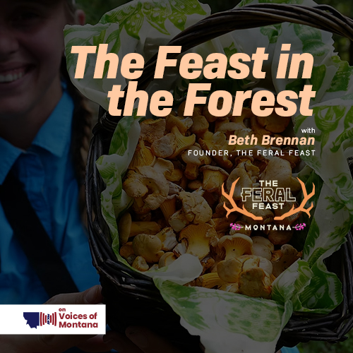The Feast in the Forest episode artwork