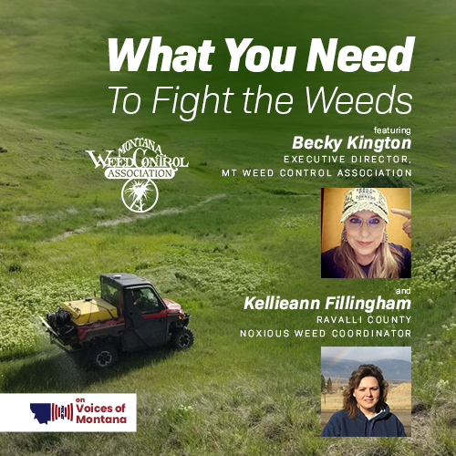 What You Need – To Fight the Weeds episode artwork