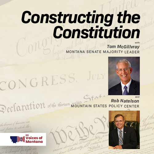Constructing the Constitution episode artwork