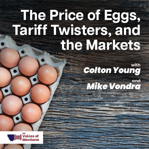 The Price of Eggs, Tariff Twisters, and The Markets