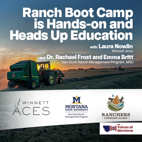 Voices of Montana