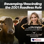 Voices of Montana