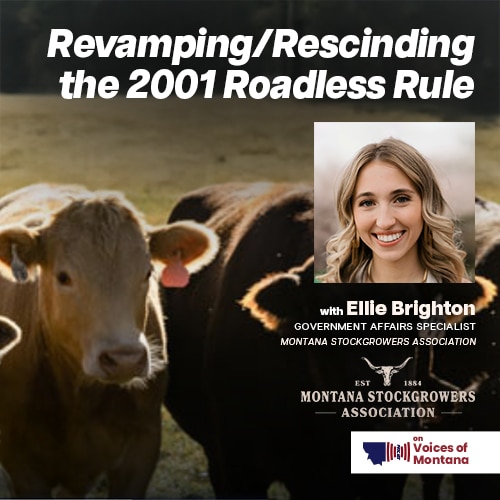 Revamping/Rescinding the 2001 Roadless Rule & Corner Crossings